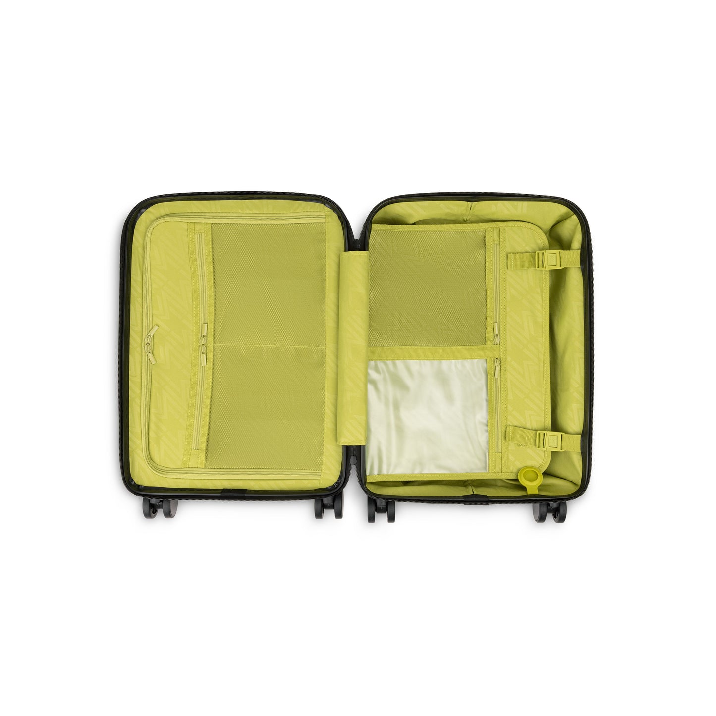 Raphael Carry-on